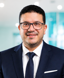 د. محمد عبد الرحمن سليم